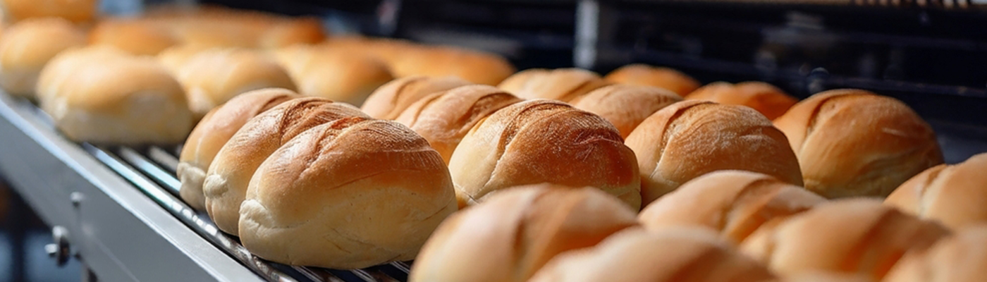 PYME DE ALIMENTOS QUE BUSCA FINANCIAMIENTO PARA CRECER