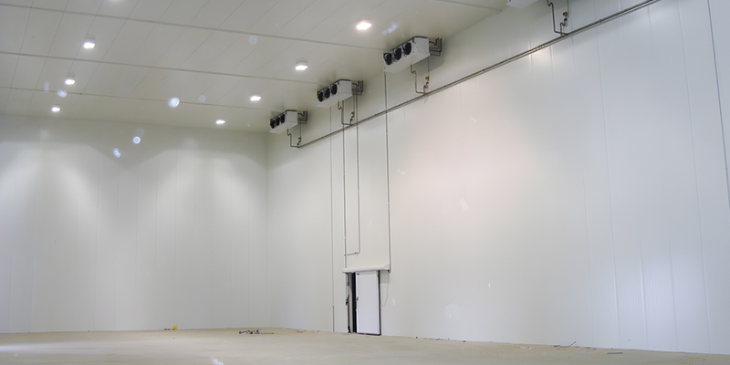 BODEGA VIEJA QUE NECESITA MODERNIZARSE SIN PARAR OPERACIONES