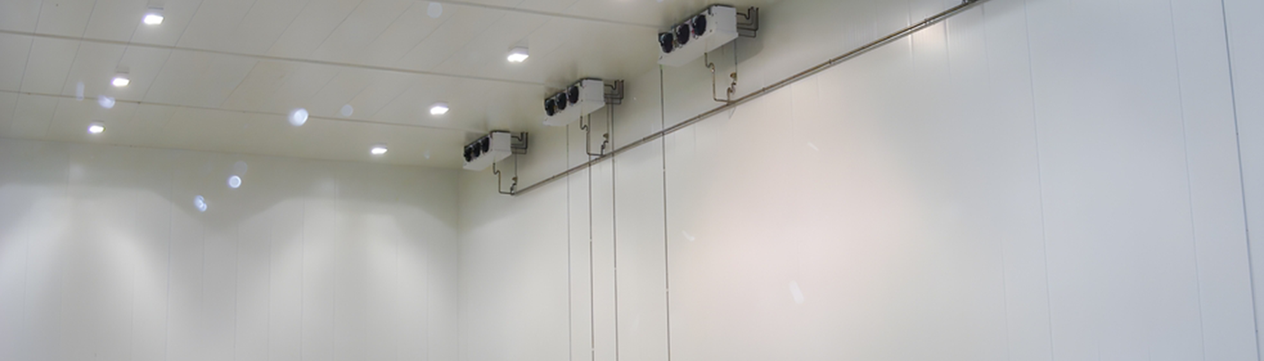 BODEGA VIEJA QUE NECESITA MODERNIZARSE SIN PARAR OPERACIONES